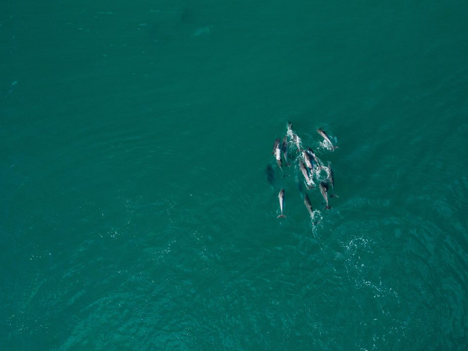 Praia Baía dos Golfinhos