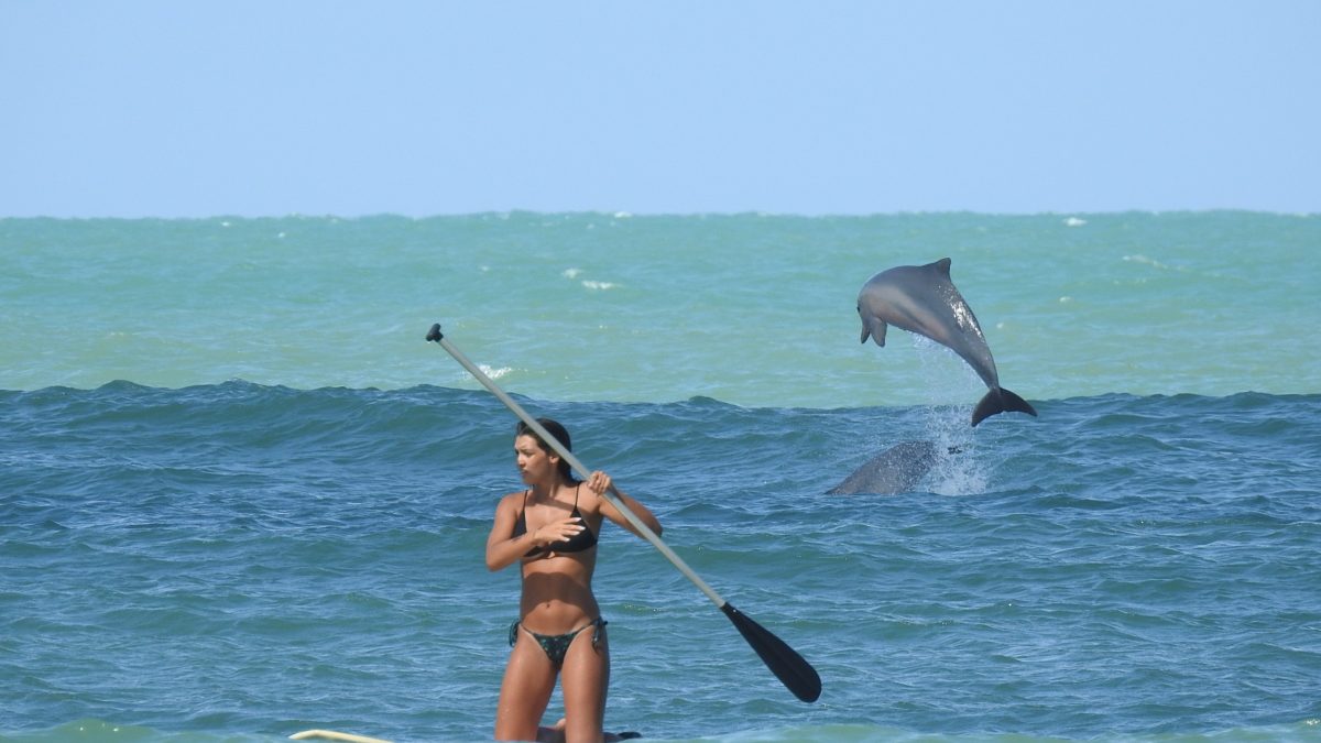 Praia da Pipa RN