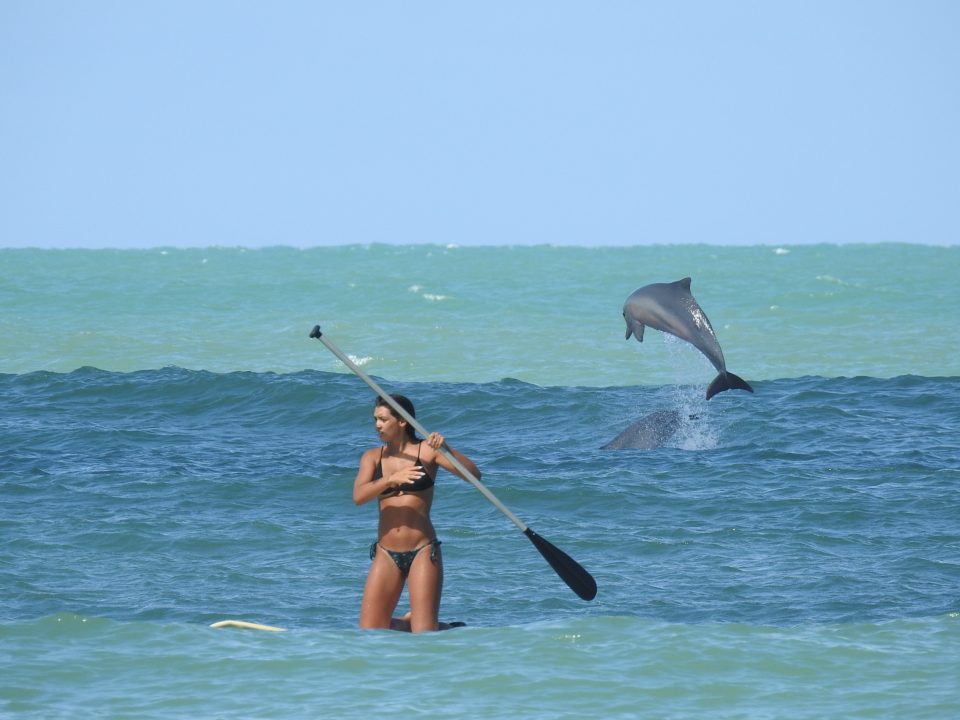 Praia da Pipa RN